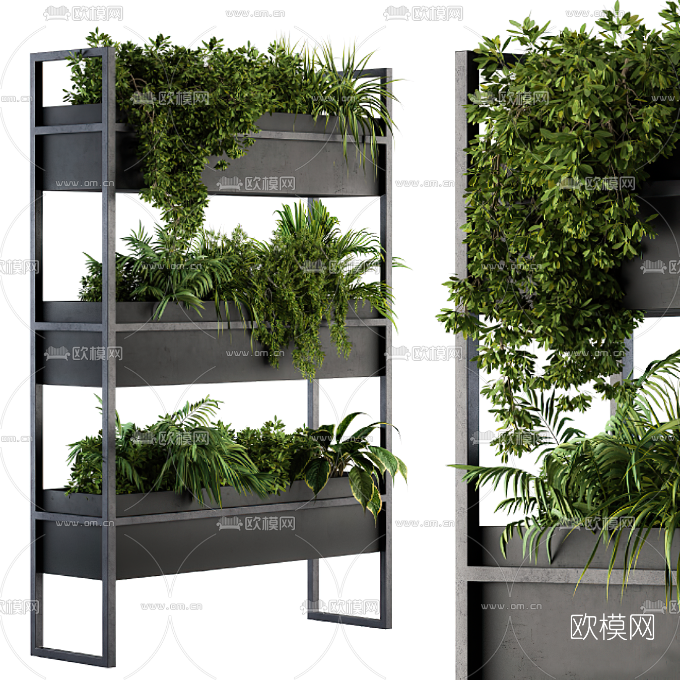 现代绿植盆栽3d模型下载（渲染图4）