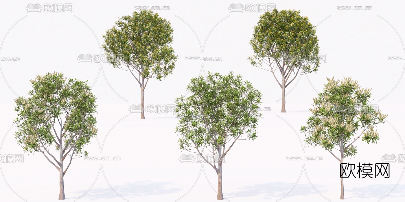 现代绿植景观树3d模型
