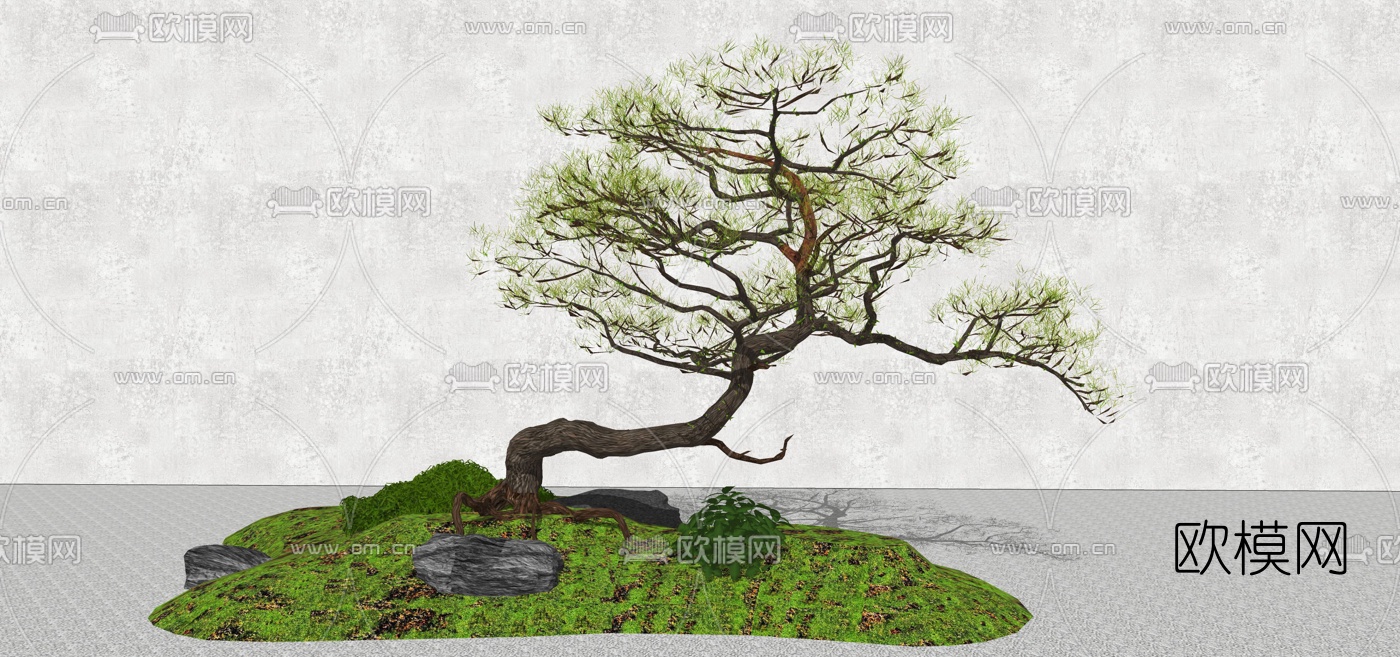 新中式罗汉松树su模型