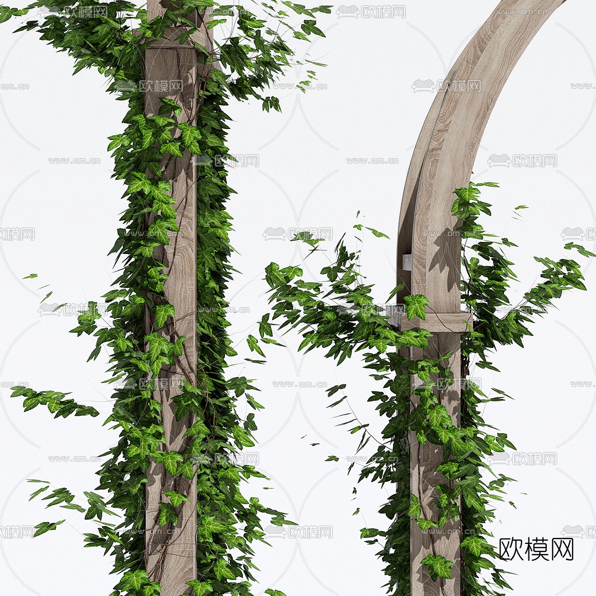 现代绿植藤蔓爬架3d模型下载（渲染图3）