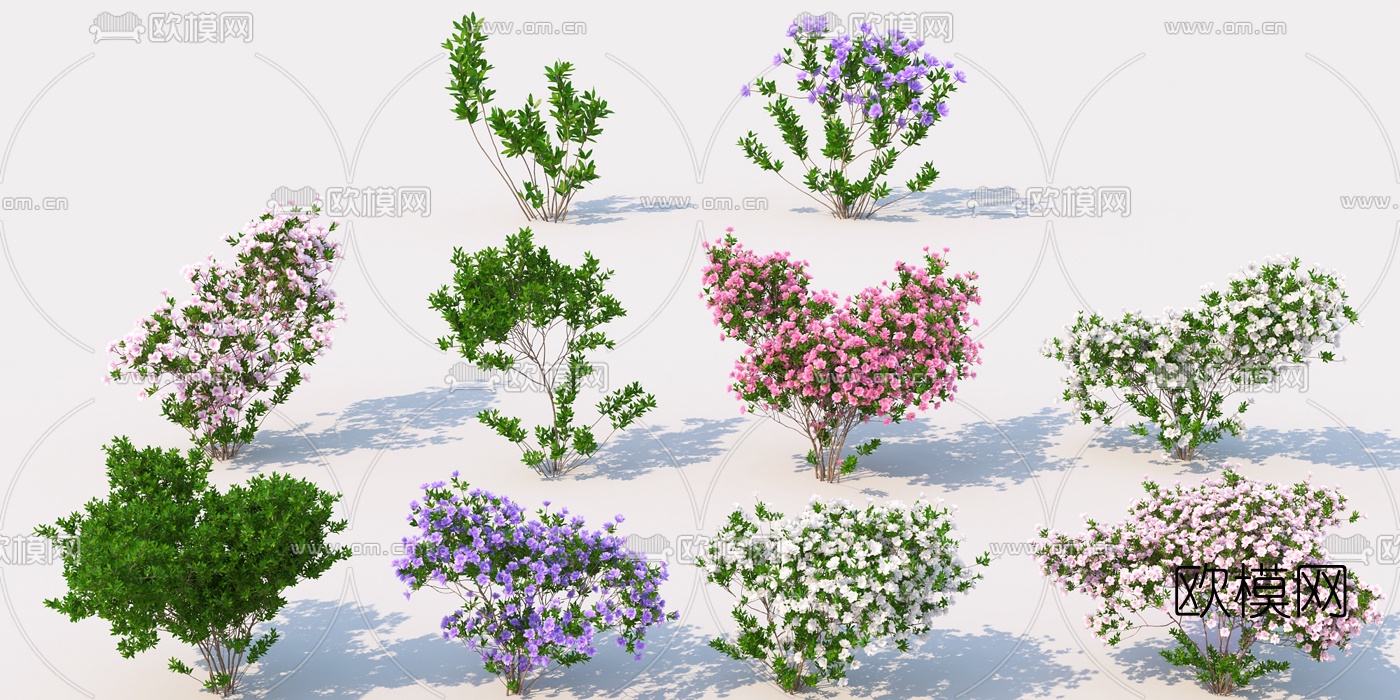 现代景观灌木3d模型下载