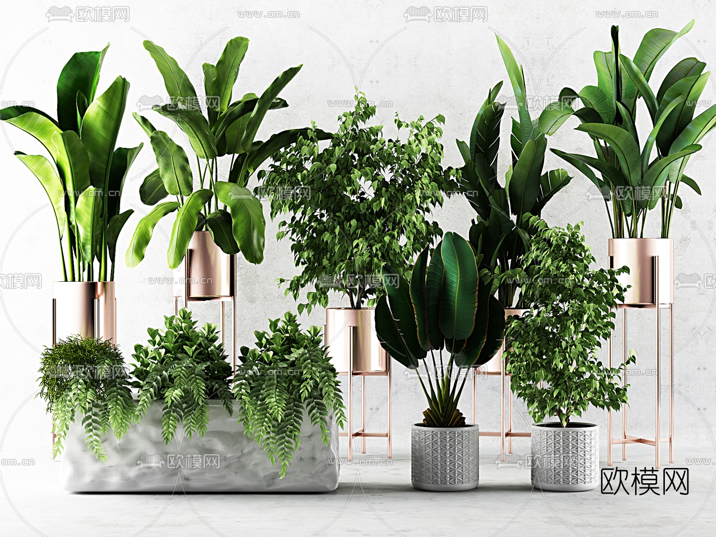 现代绿植花草盆栽3d模型