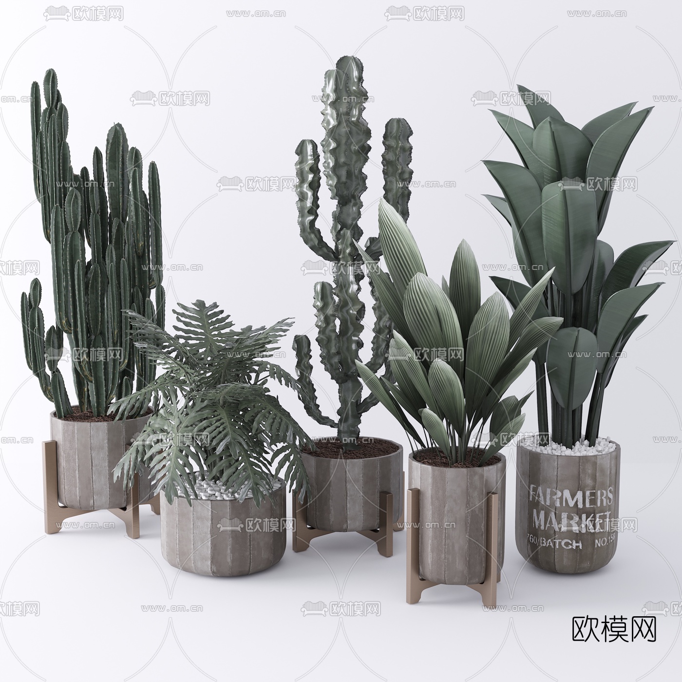 现代仙人掌盆栽3d模型下载