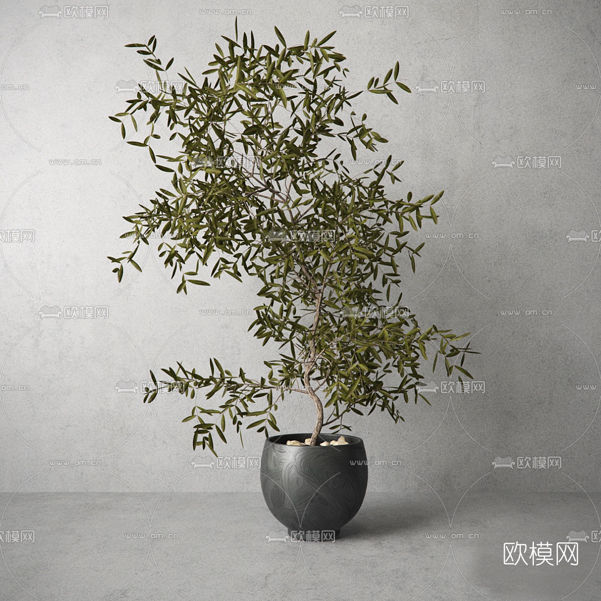 现代绿植盆栽3d模型