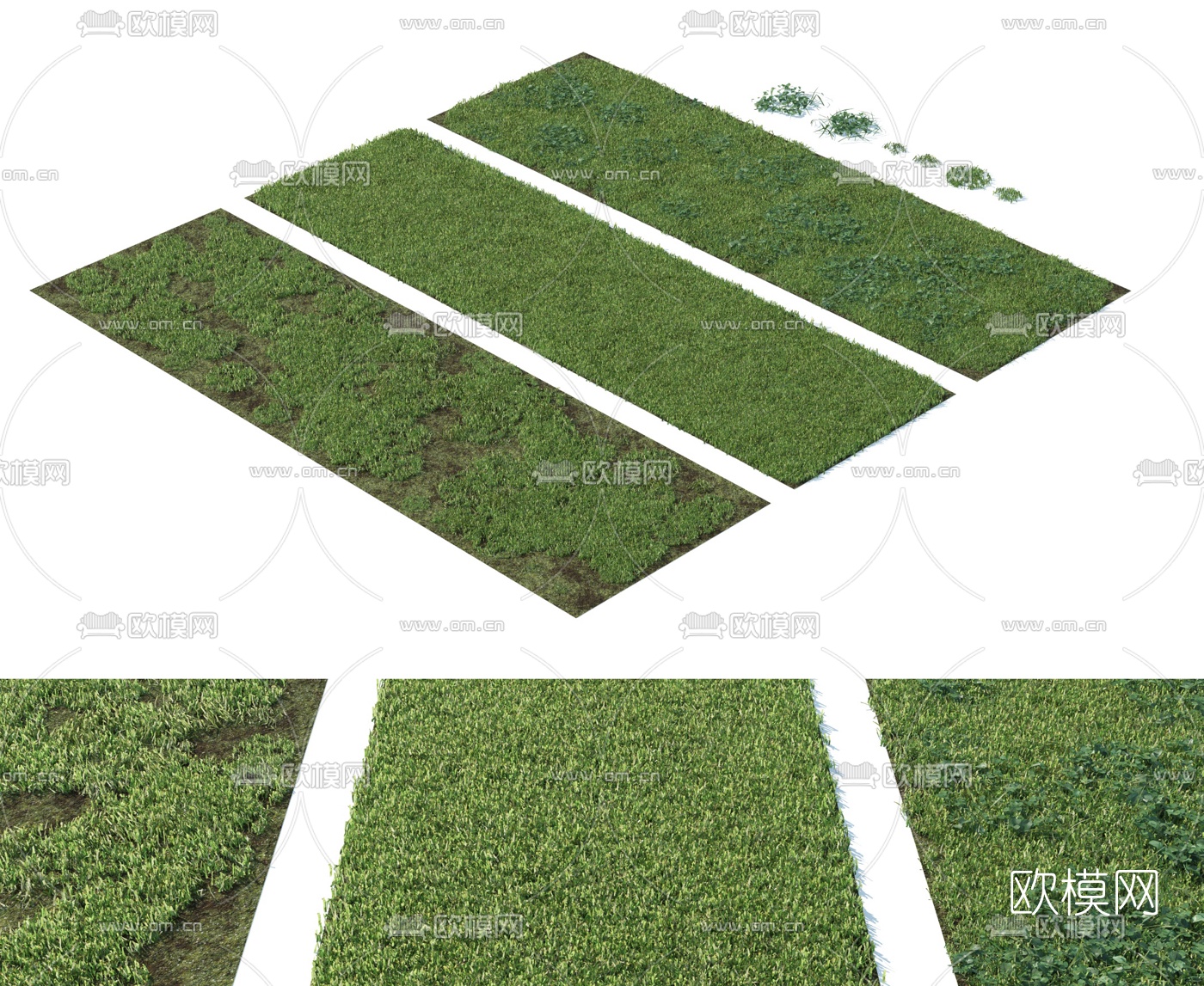 现代绿植草坪3d模型下载（渲染图1）