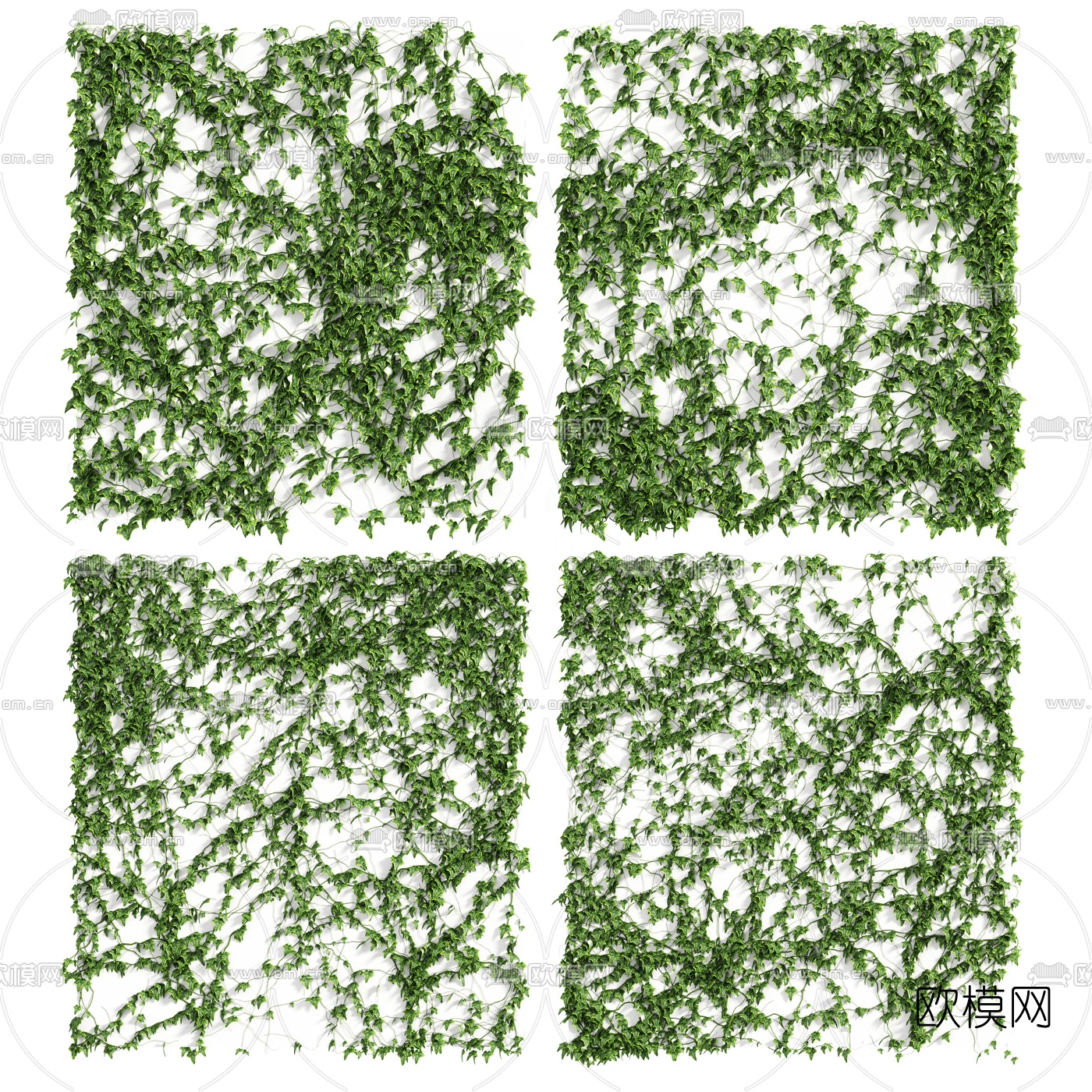 现代爬山虎藤蔓3d模型