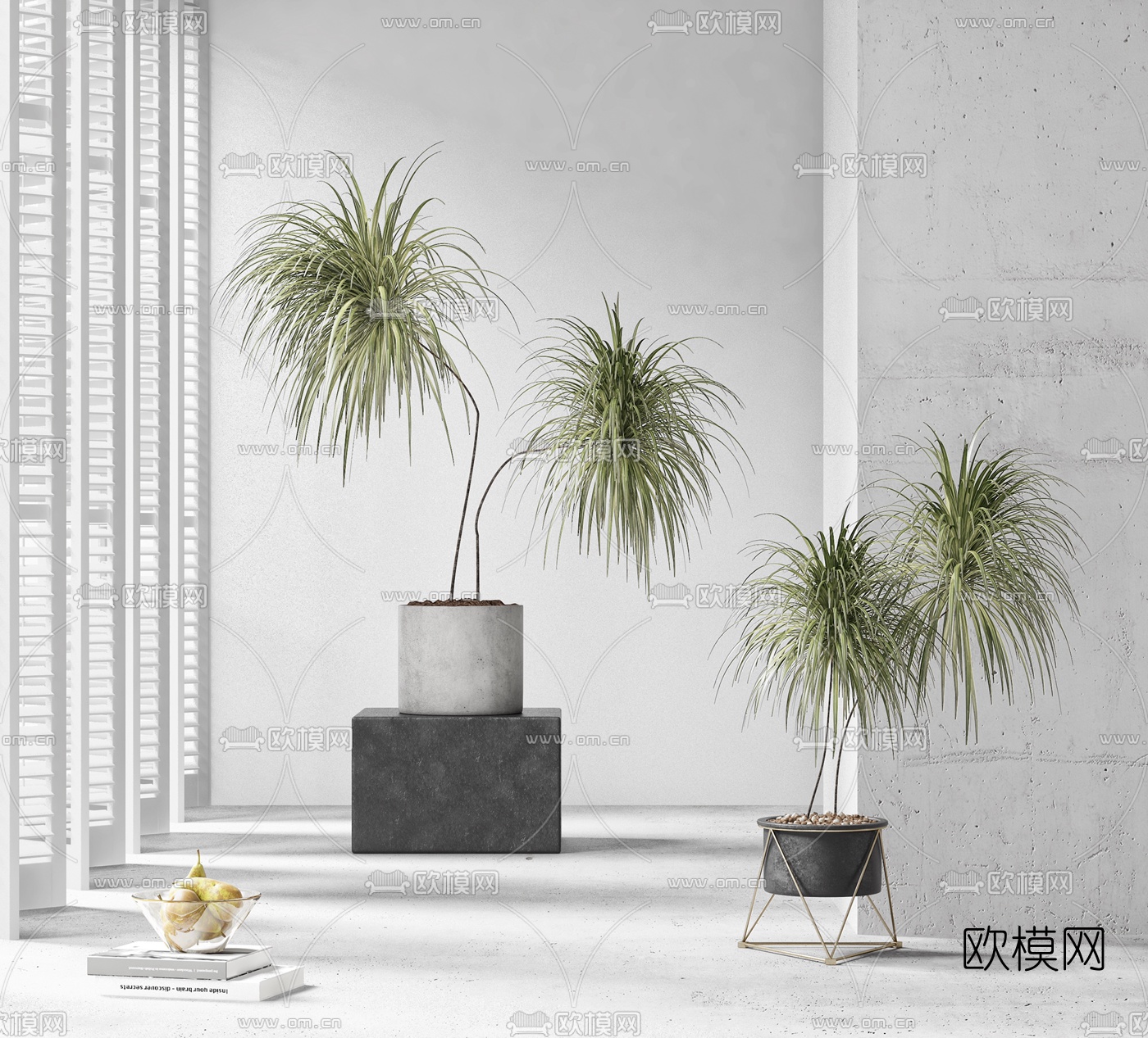 现代绿植盆栽3d模型