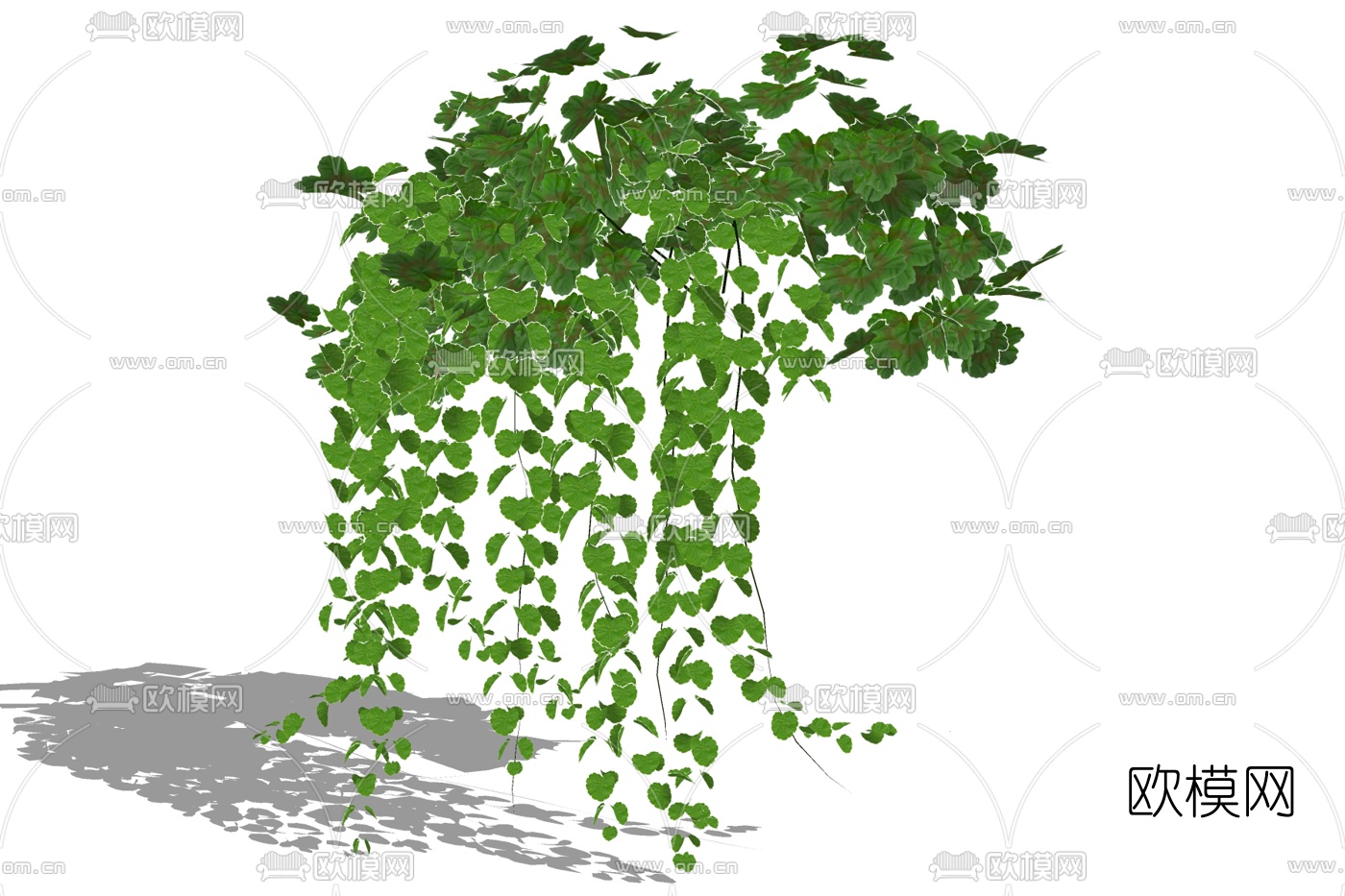 现代绿植藤蔓免费su模型
