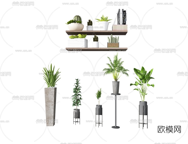 现代植物盆栽3d模型下载