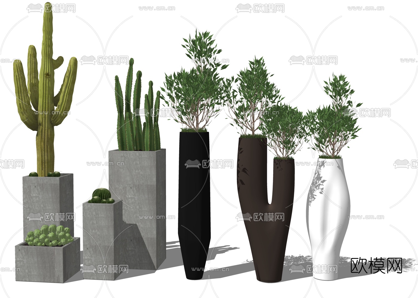 现代仙人掌盆栽su模型下载