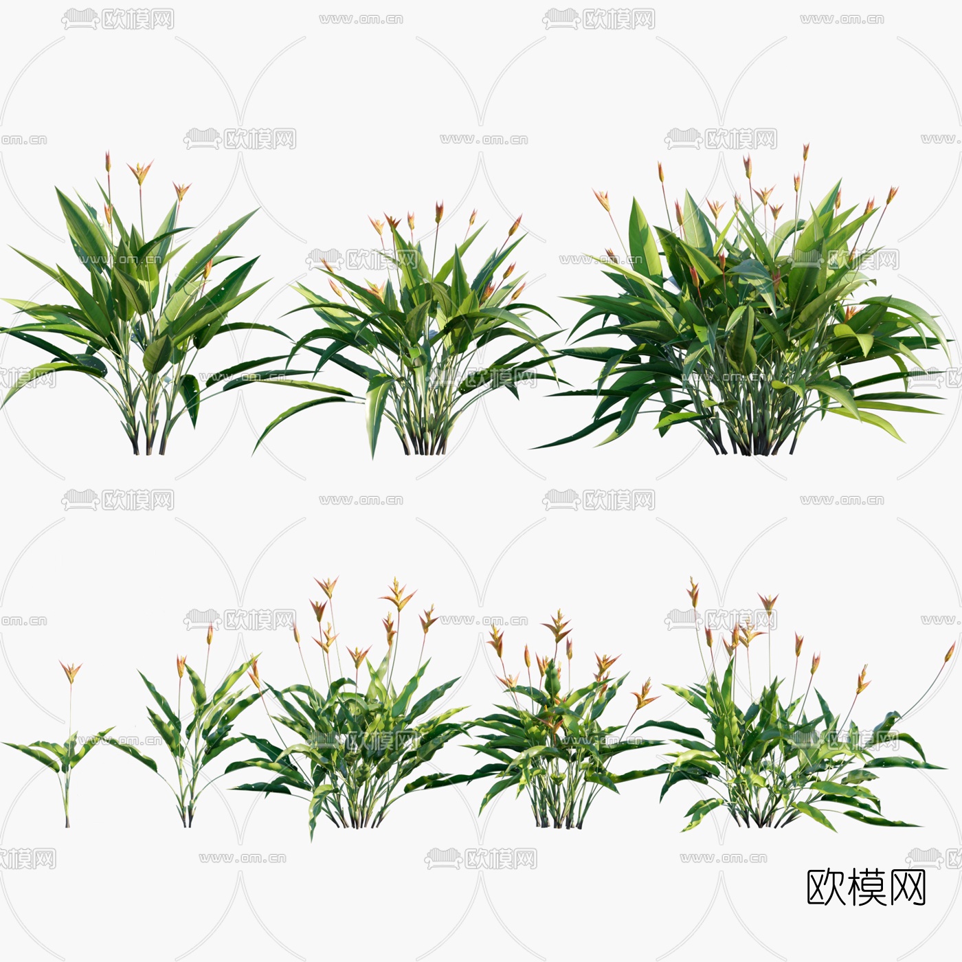 现代花草蝎尾蕉3d模型