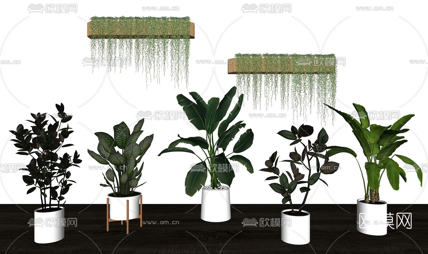 现代绿植盆栽su模型下载（渲染图2）