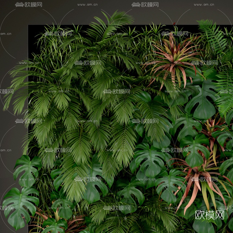 现代花草植物墙3d模型