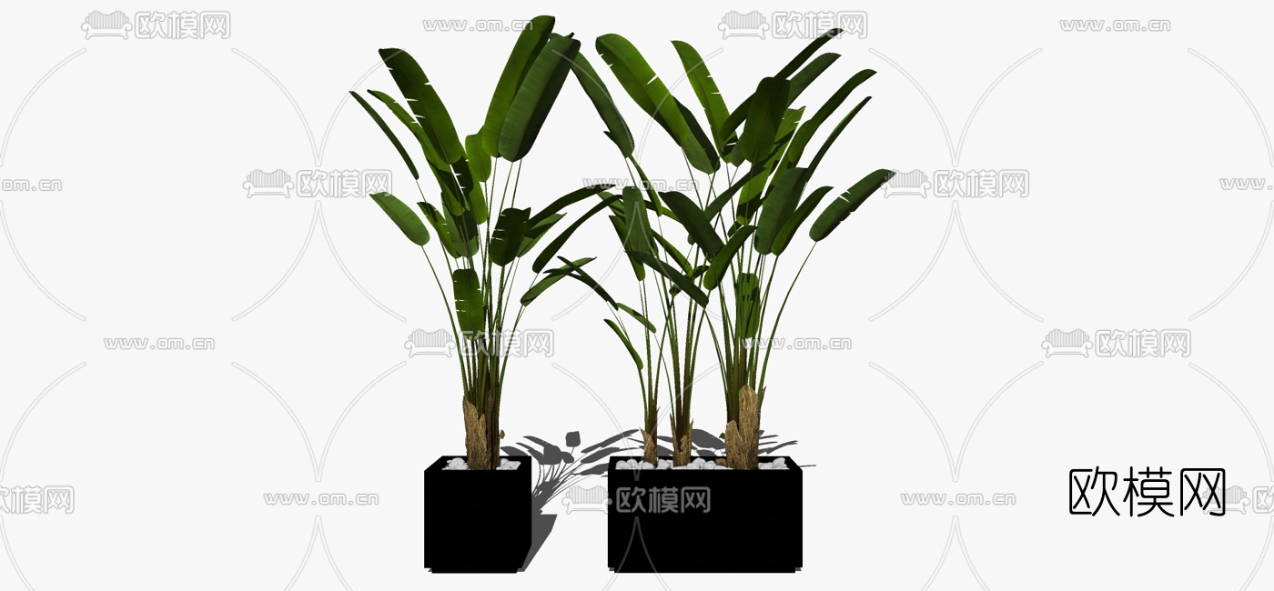 现代植物盆栽su模型