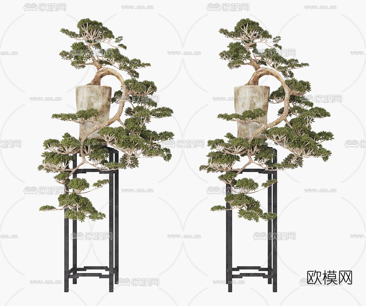 新中式松树盆景盆栽3d模型-免费3dmax模型库-欧模网