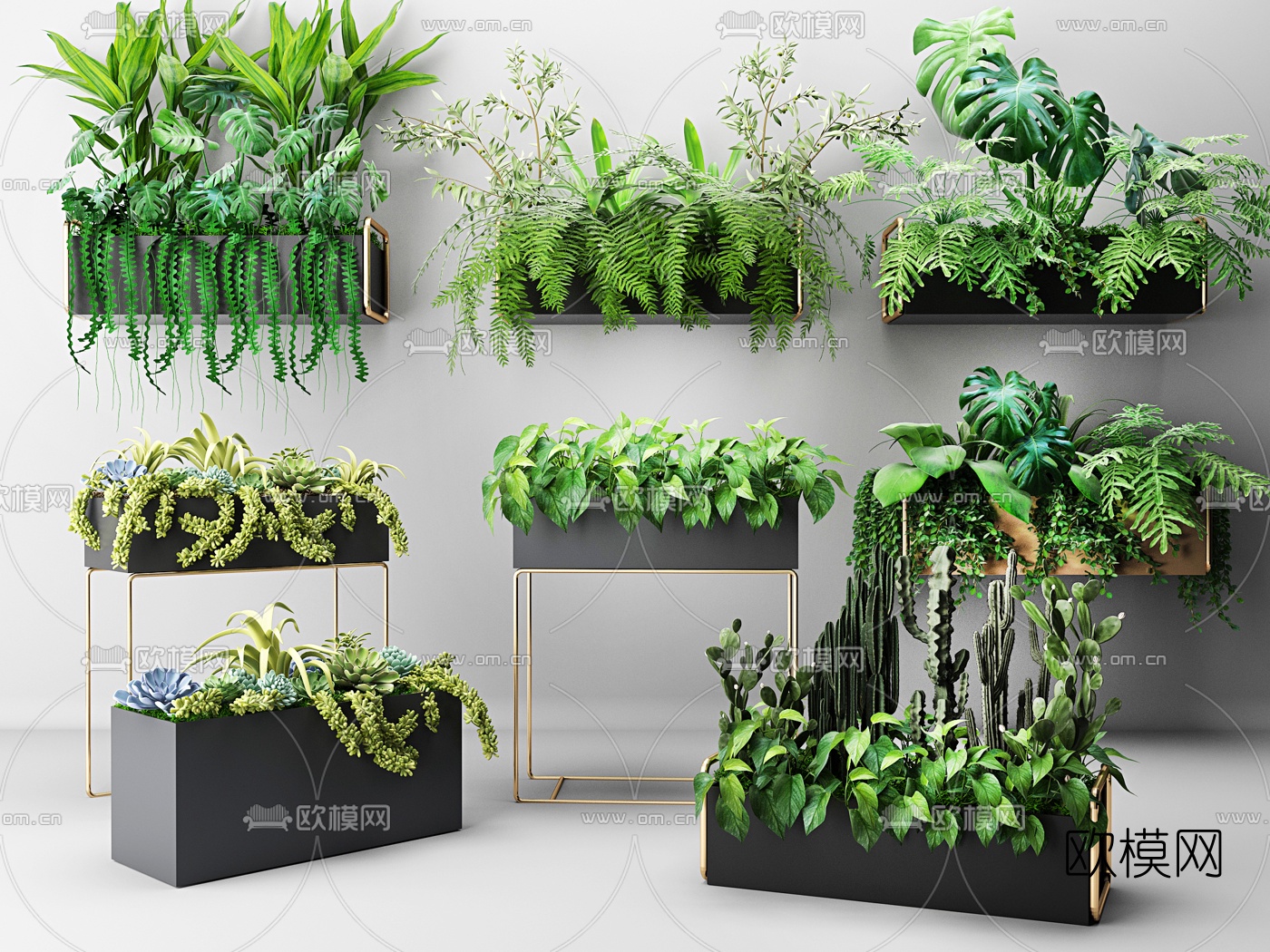 现代龟背竹仙人掌盆栽3d模型下载