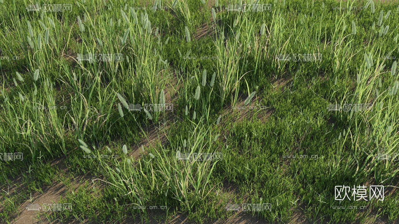 现代草地草坪3d模型下载（渲染图2）