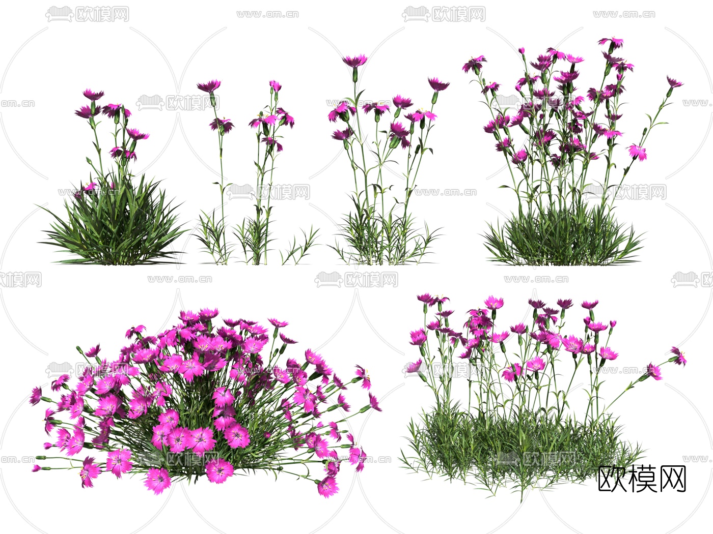 现代花草3d模型下载