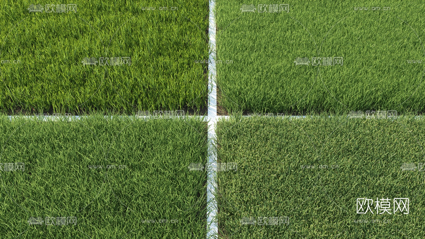 现代草坪草地3d模型下载（渲染图3）