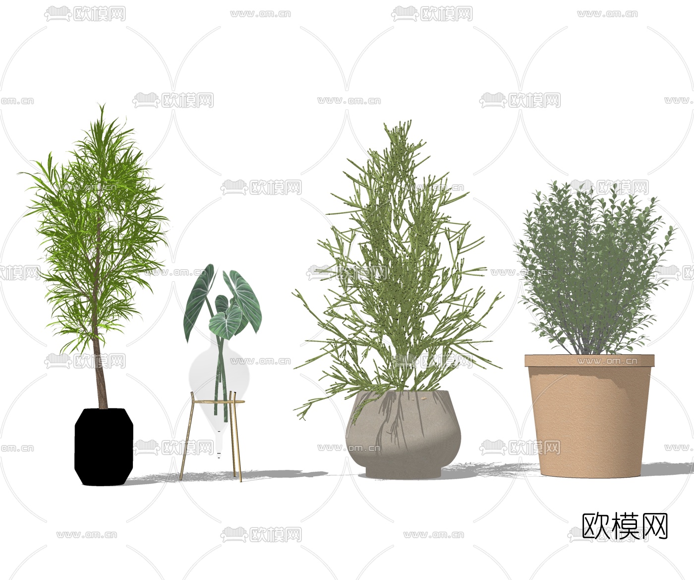 北欧松叶蕨盆栽su模型下载