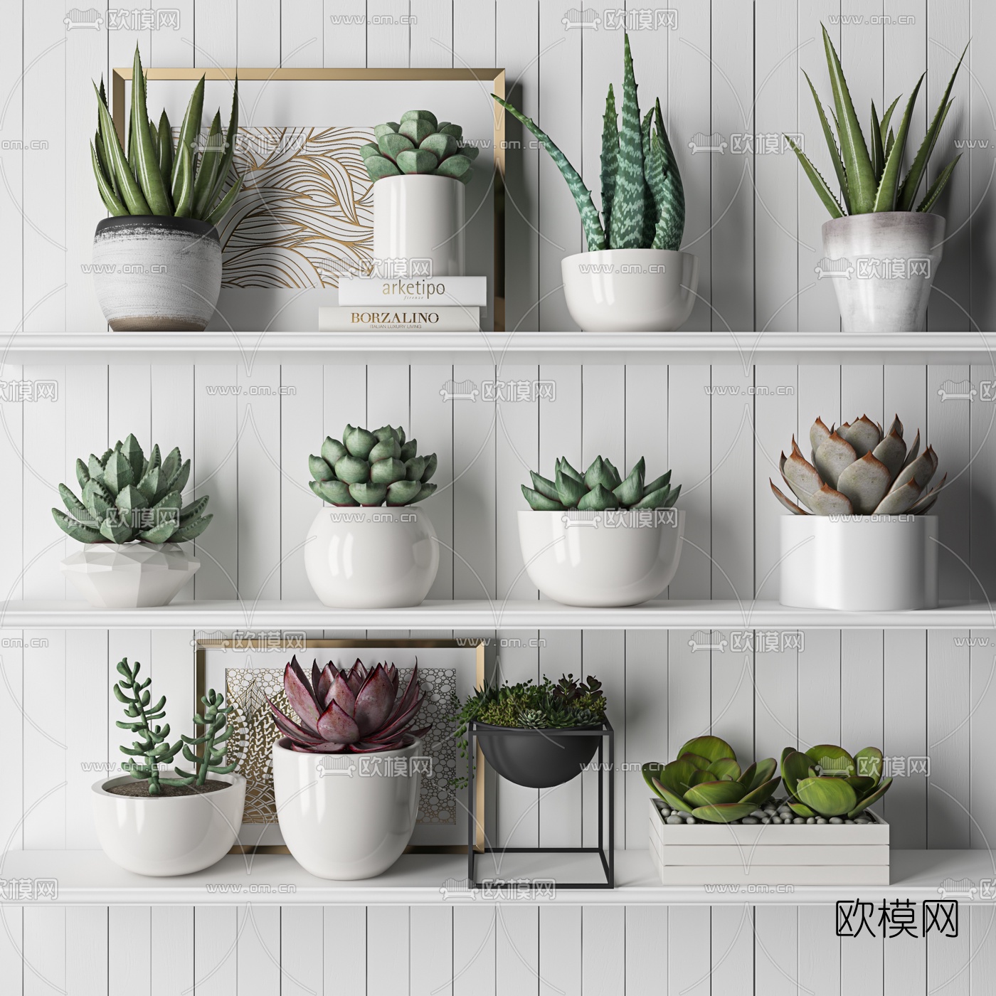 现代多肉植物盆栽3d模型下载