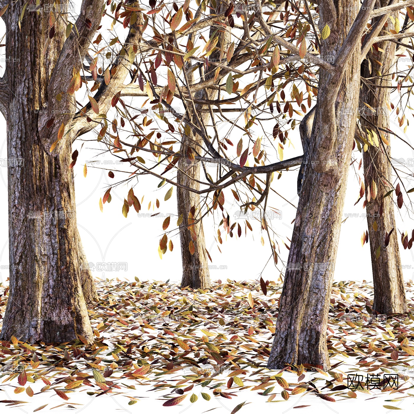 现代冬天枯树3d模型下载（渲染图3）