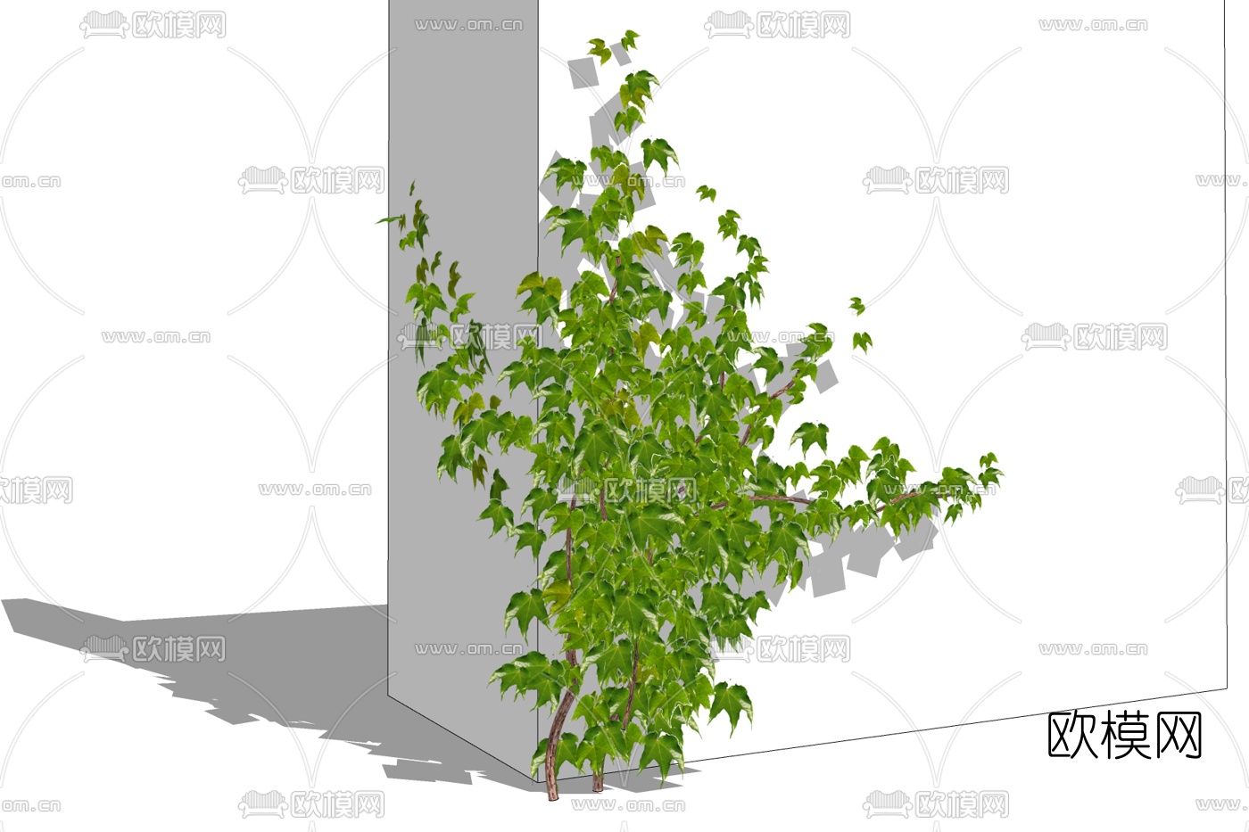 现代绿植藤蔓免费su模型下载