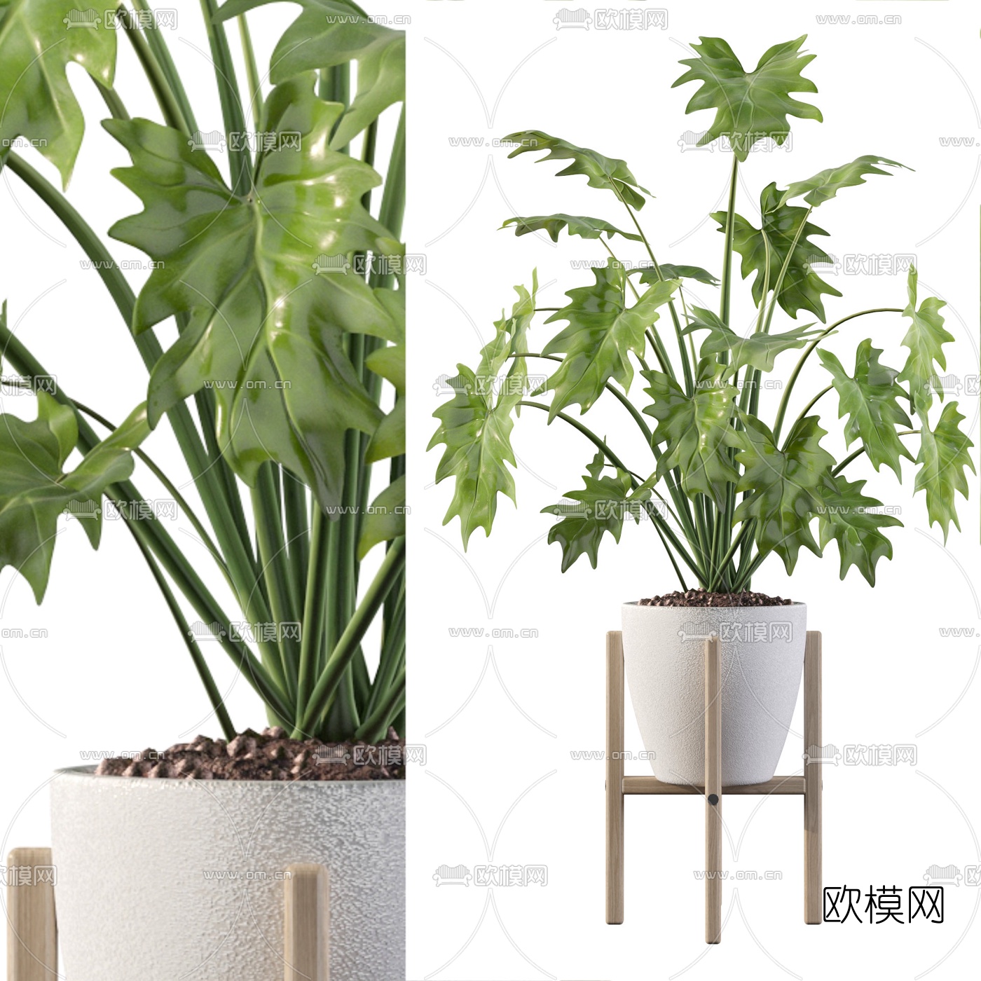 现代绿植盆栽3d模型下载