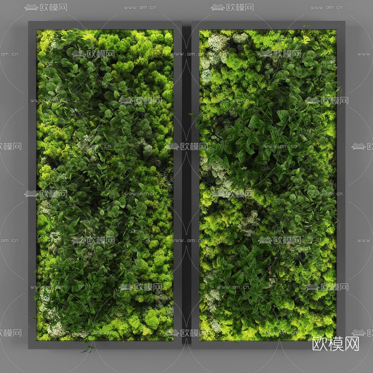 现代植物墙免费3d模型下载（渲染图1）