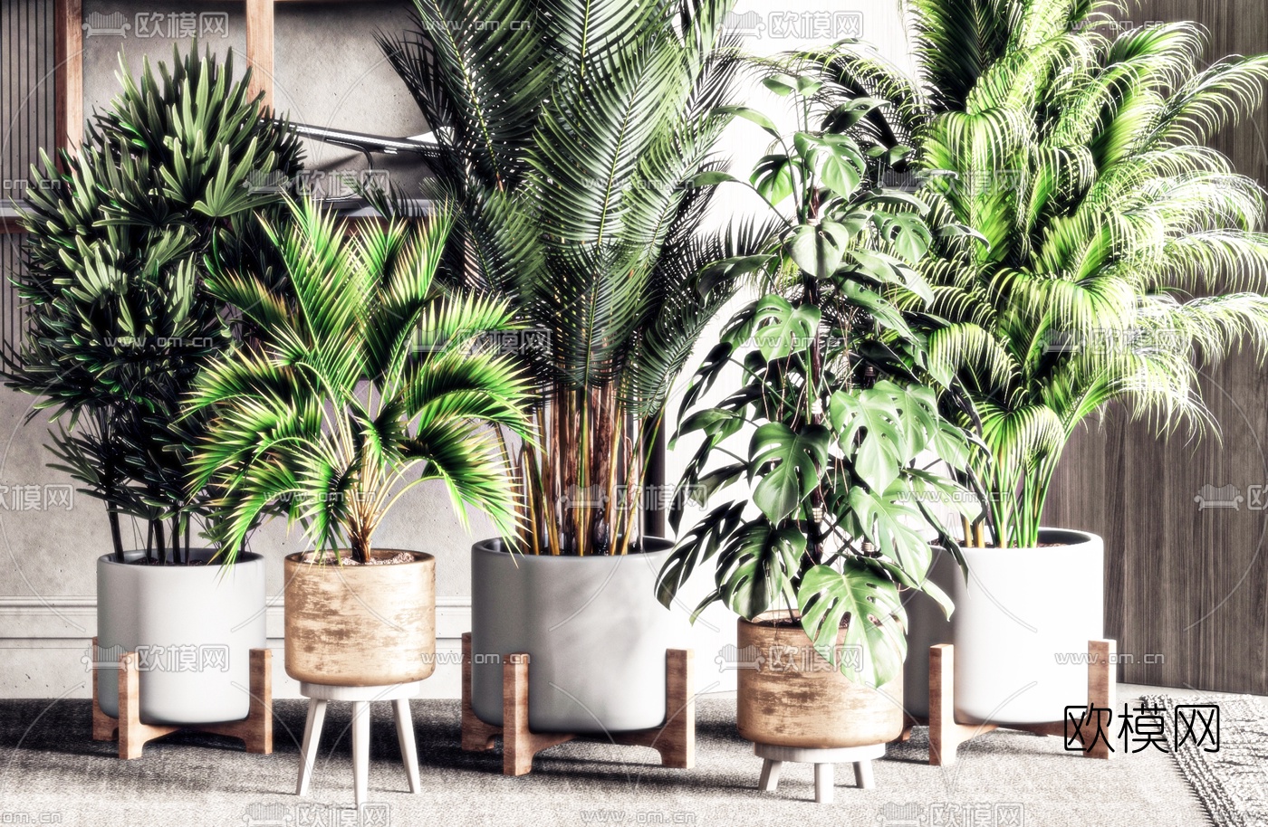 现代绿植盆栽3d模型下载（渲染图2）