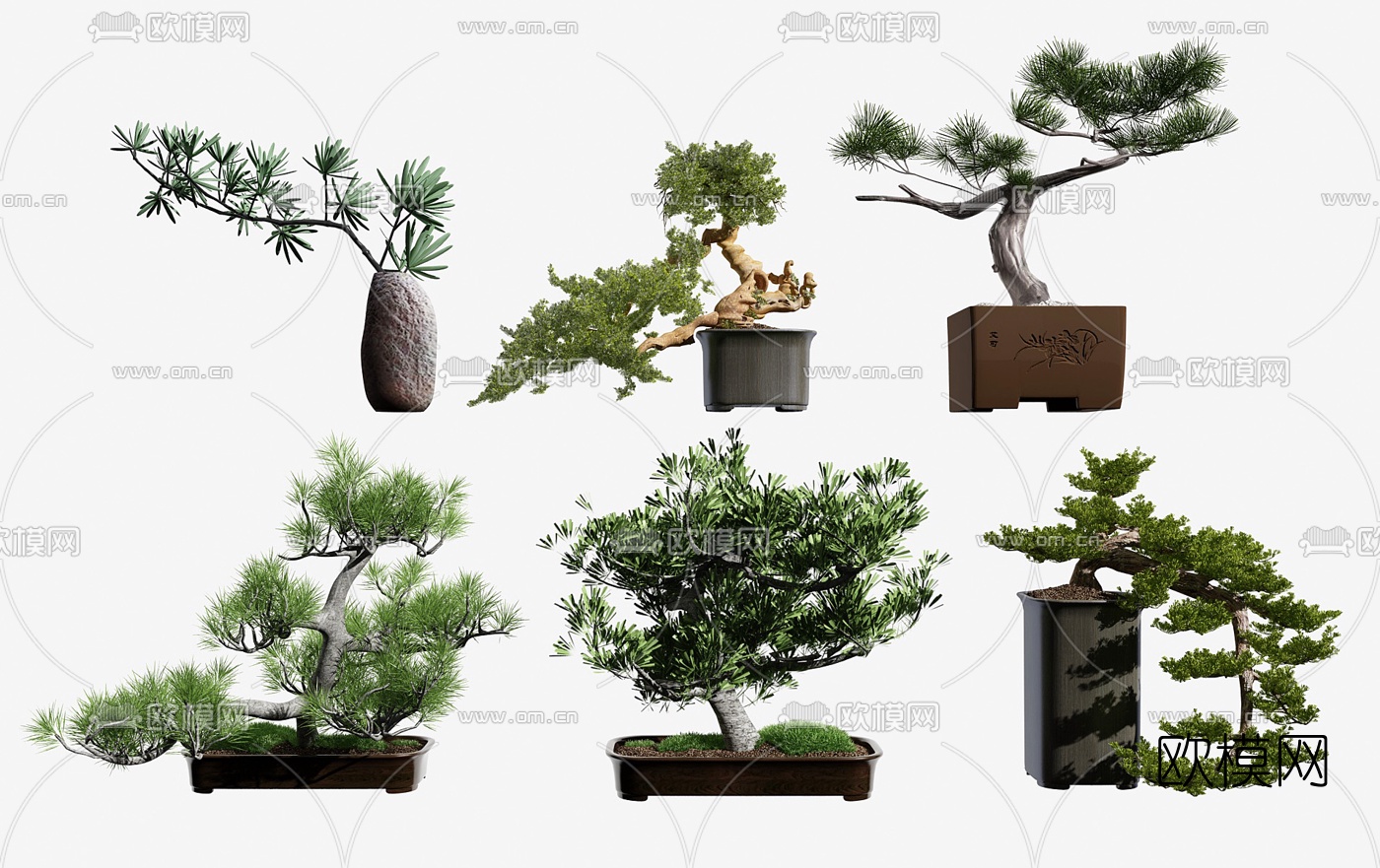 新中式松树盆栽3d模型下载