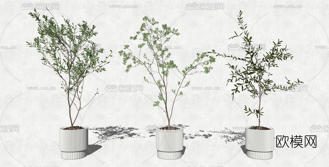 现代绿植盆栽su模型