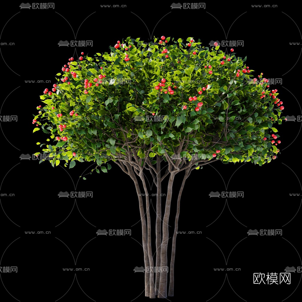 现代果树3d模型下载（渲染图1）