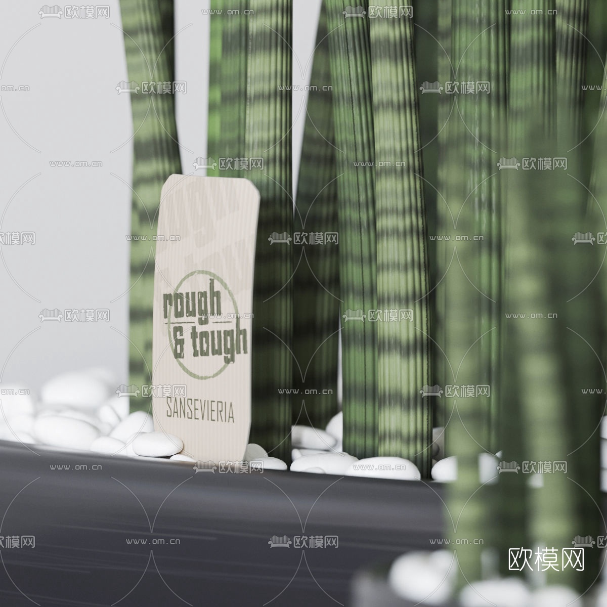 现代室内虎尾草植物盆栽3d模型下载（渲染图4）