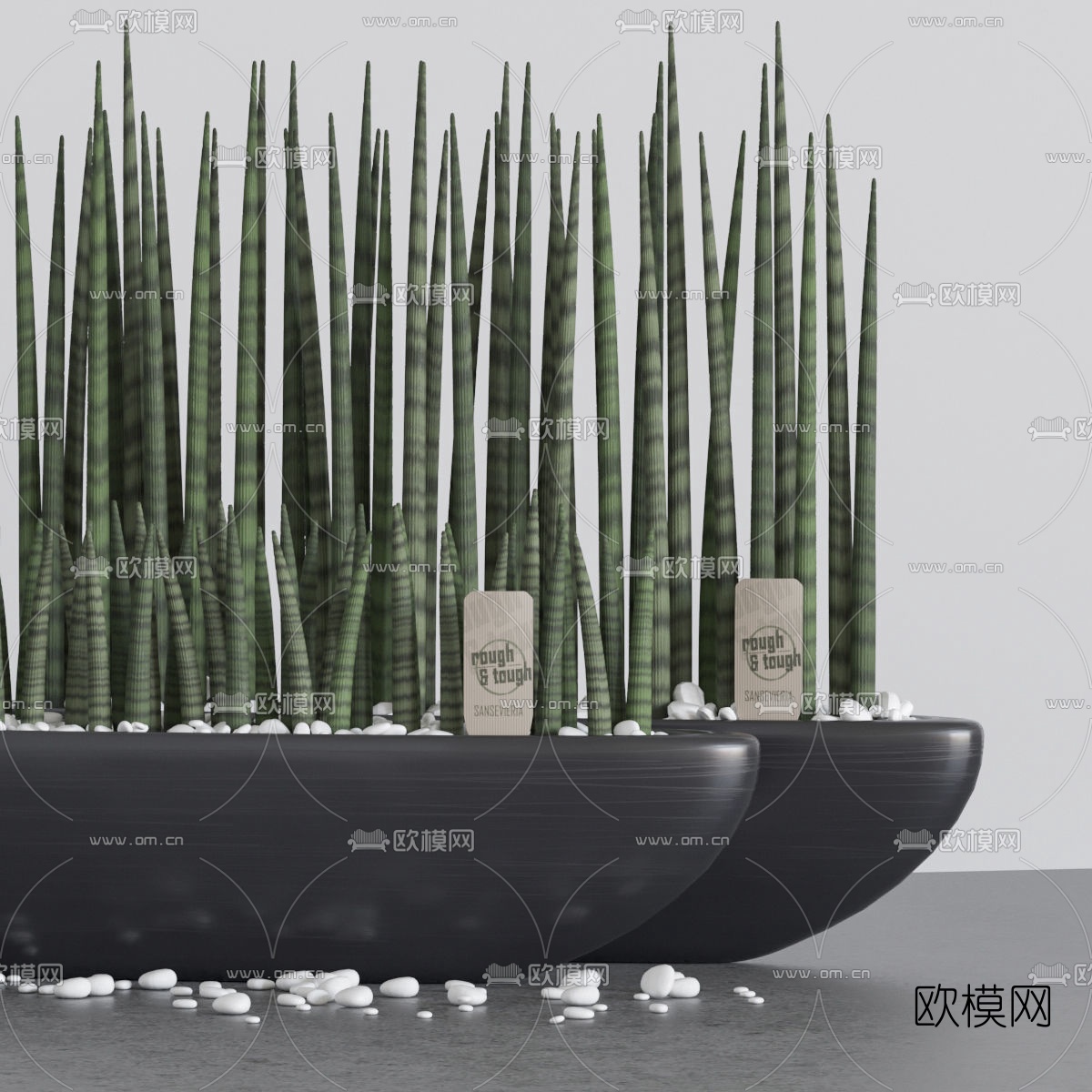 现代室内虎尾草植物盆栽3d模型下载（渲染图5）