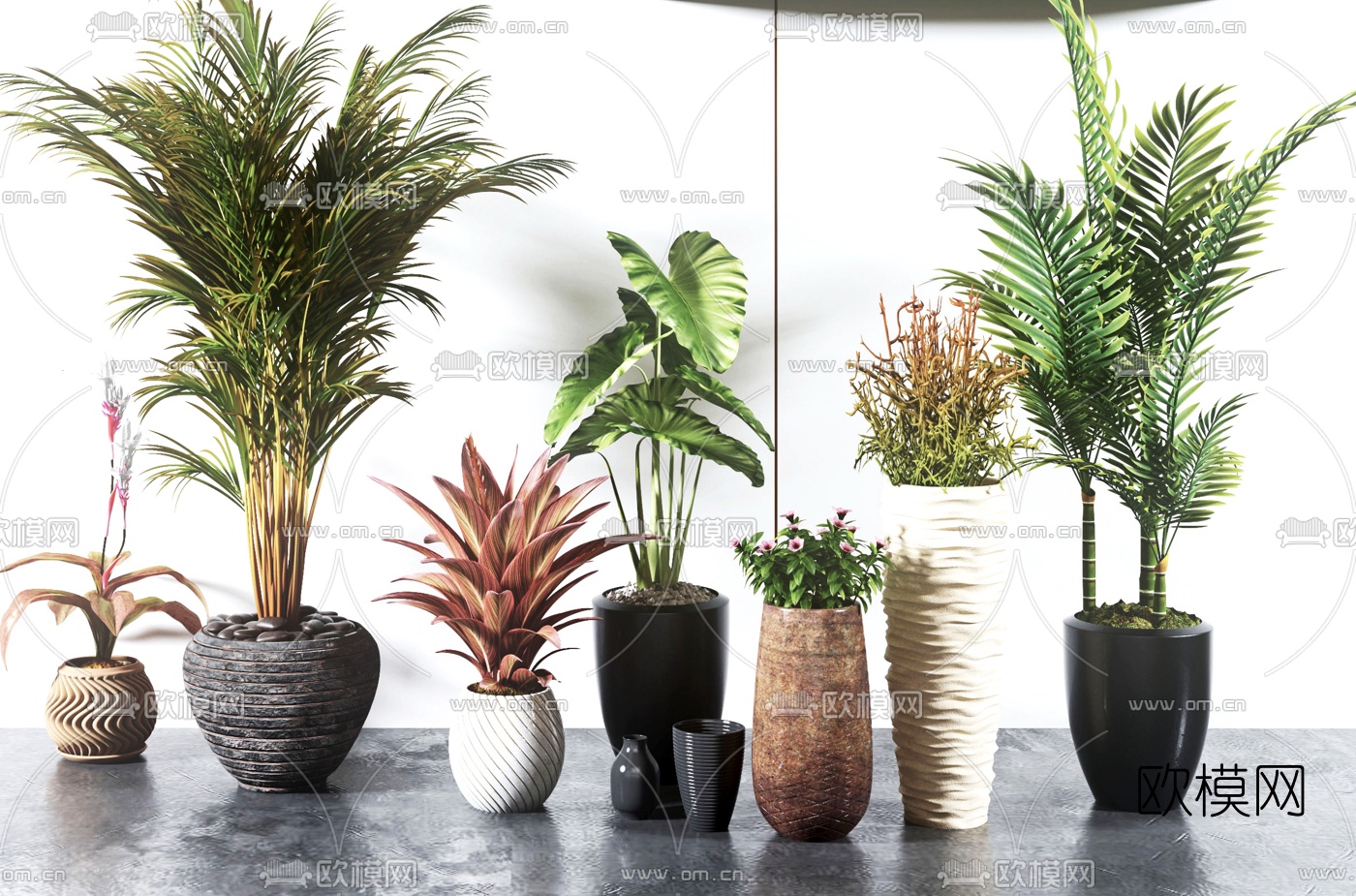 现代绿植盆栽3d模型下载