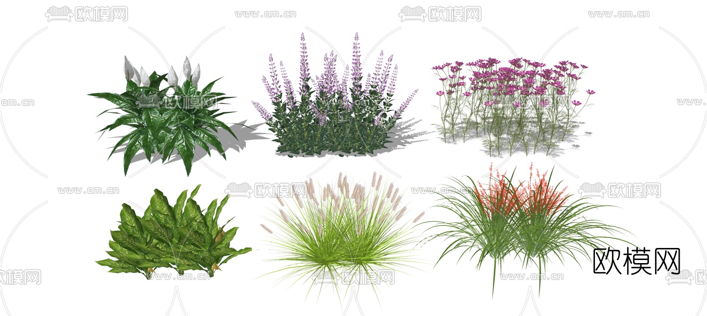 现代灌木景观植物花草su模型