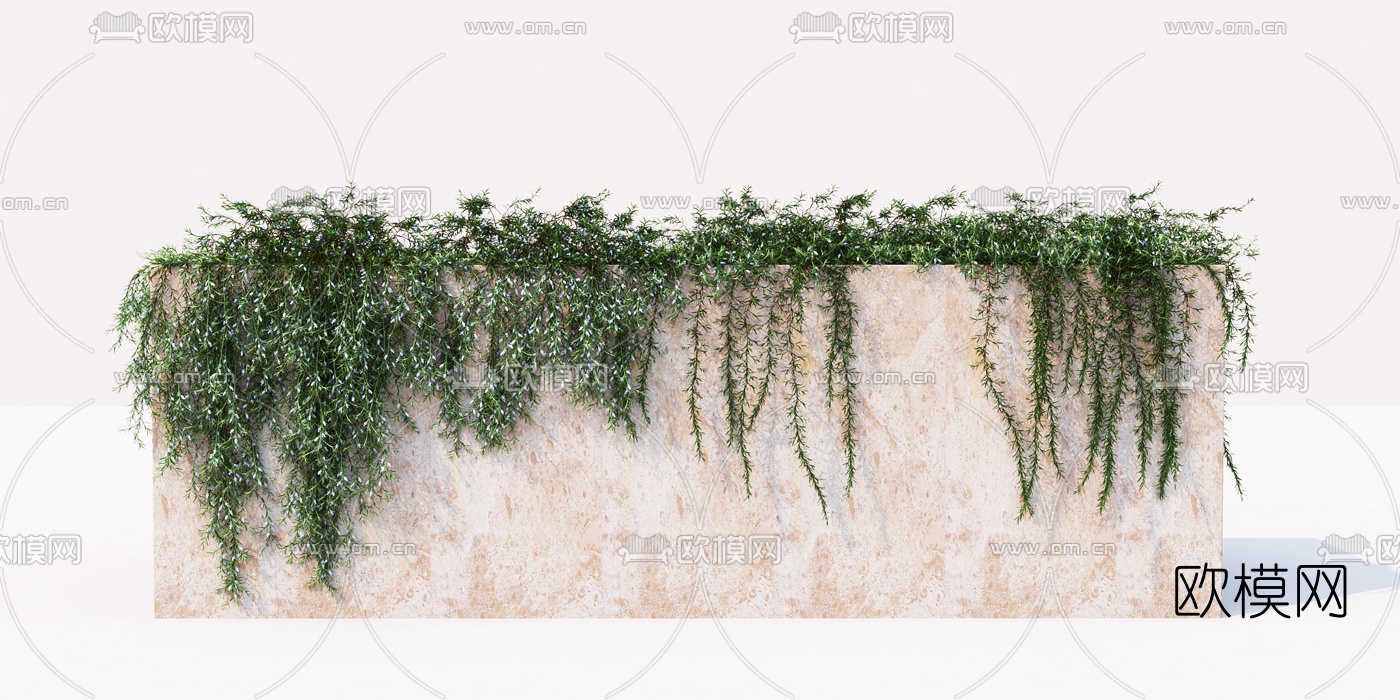 现代绿植藤蔓3d模型