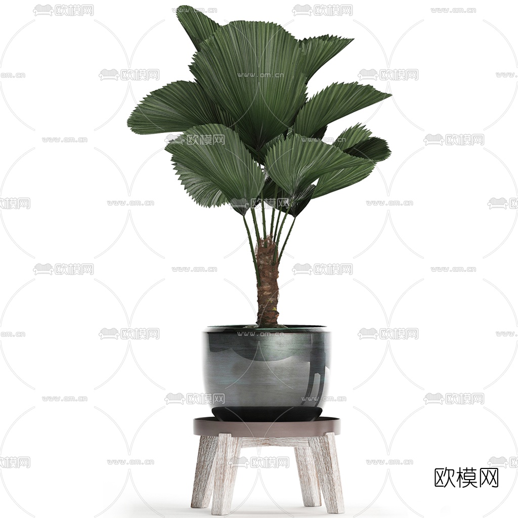 现代植物盆栽3d模型