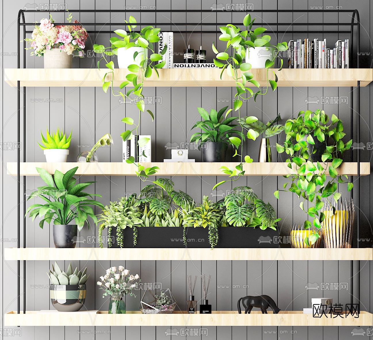 现代隔板架绿植盆栽3d模型