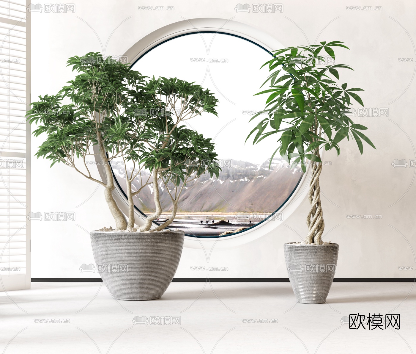 现代植物盆栽3d模型