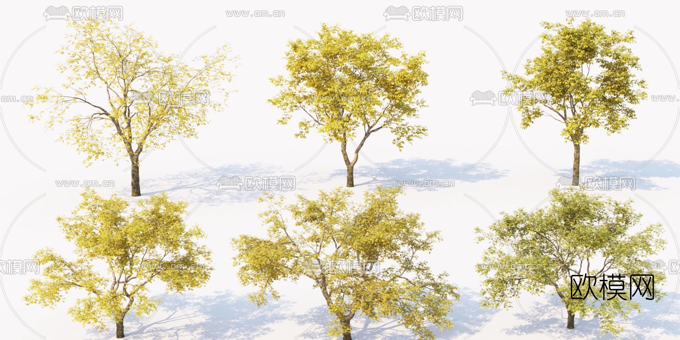 现代秋季景观树3d模型