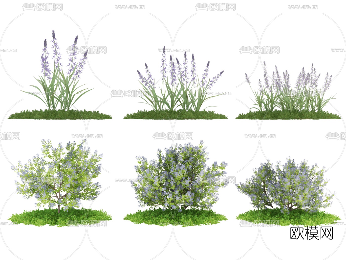 现代绿植灌木3d模型