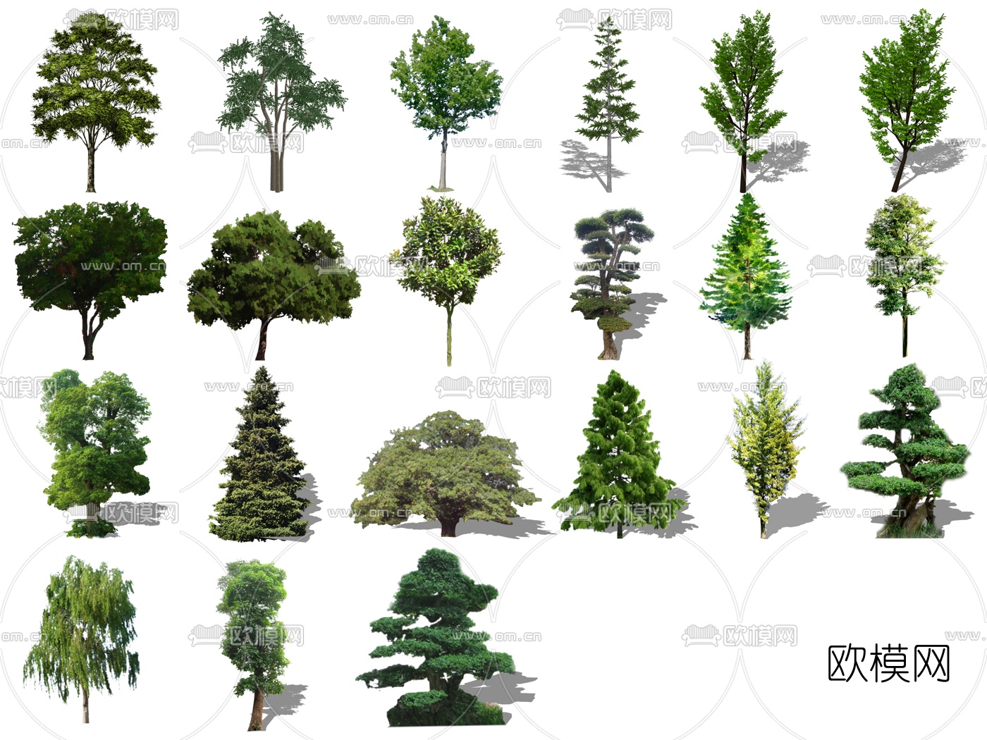 现代景观树su模型下载（渲染图4）