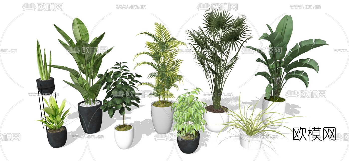 现代绿植盆栽su模型