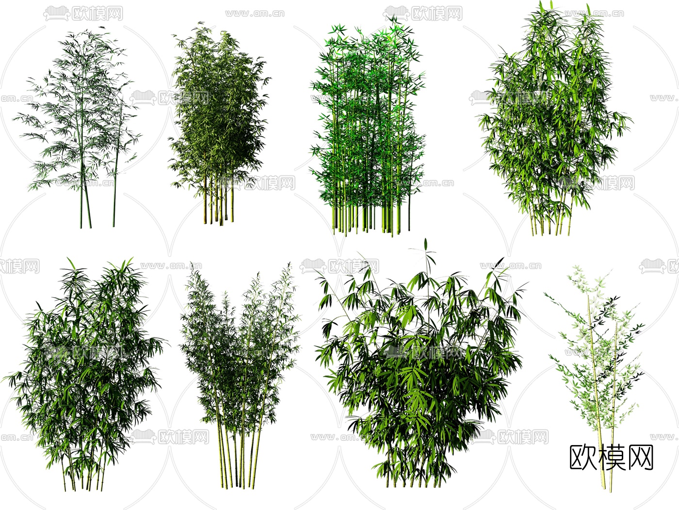 现代绿植竹子3d模型