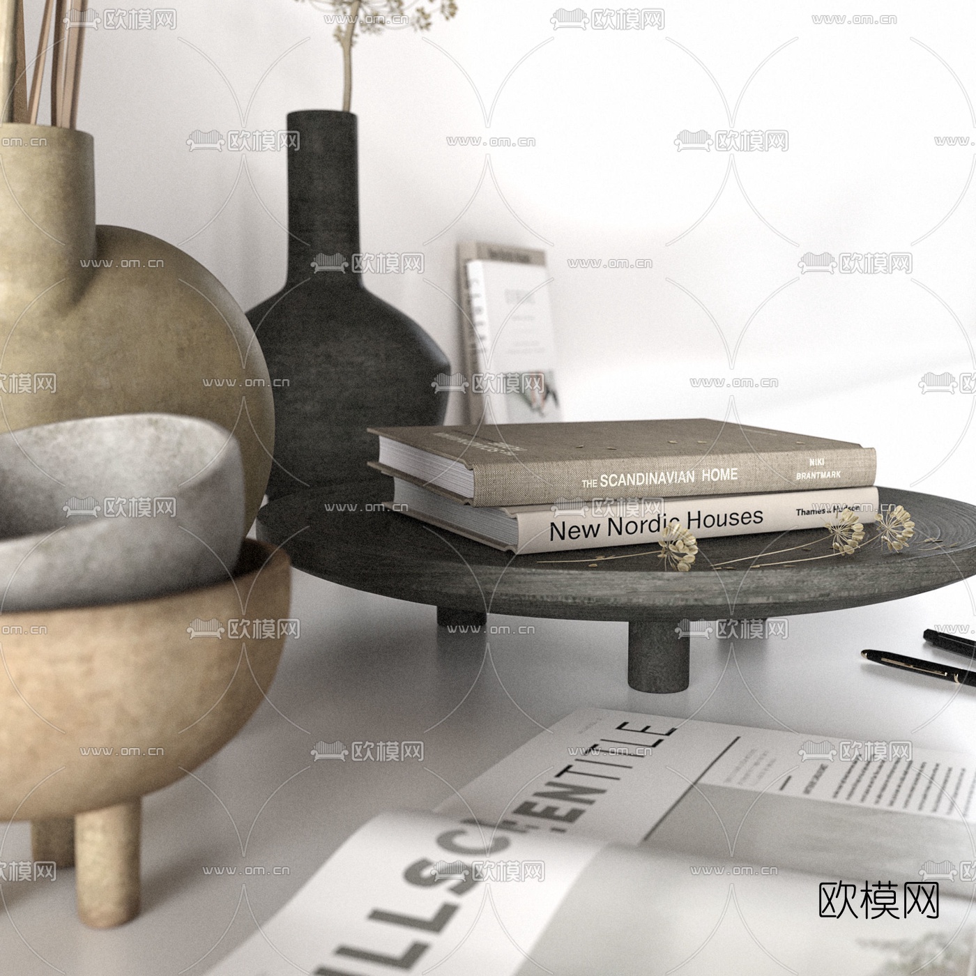 现代干枝花瓶书籍摆件3d模型