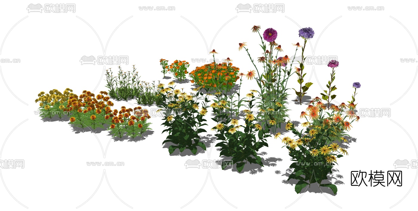 现代灌木花卉菊花su模型下载（渲染图3）