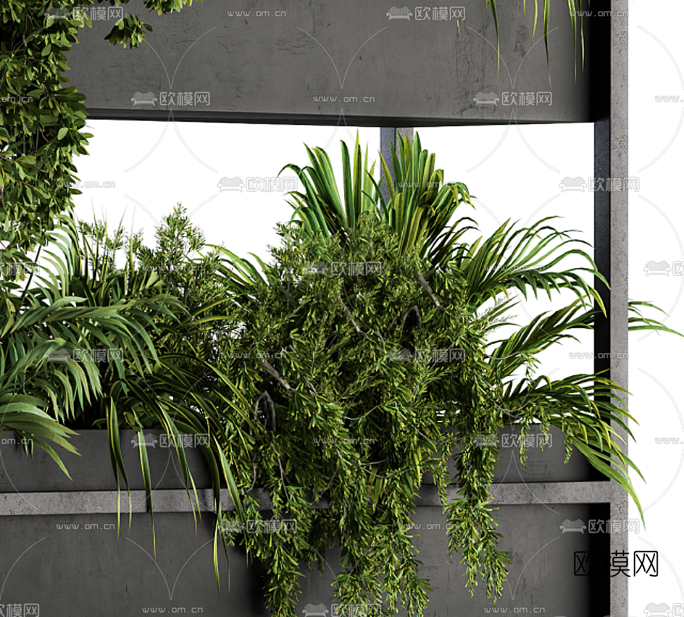 现代绿植盆栽3d模型下载（渲染图3）