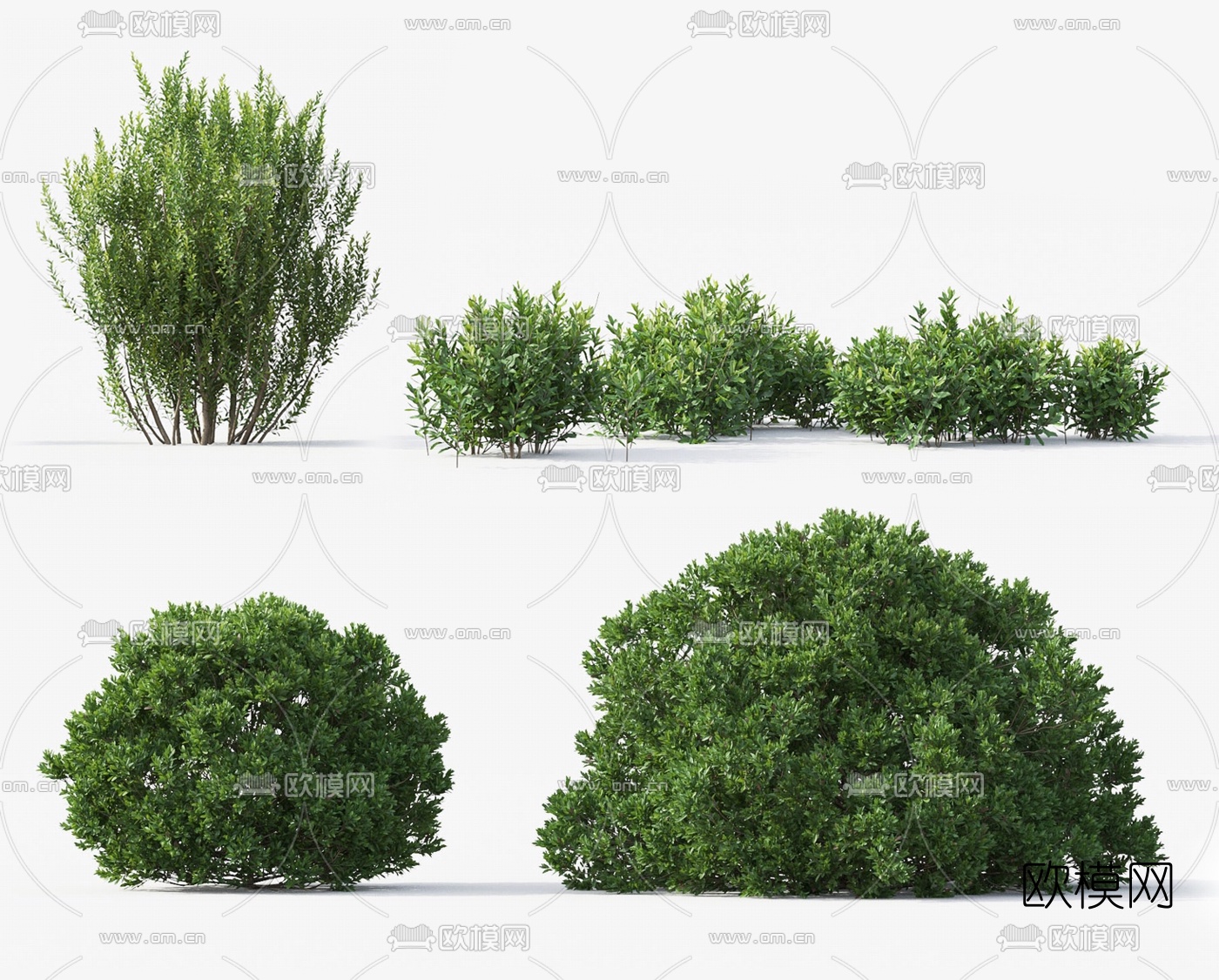 现代绿植灌木3d模型下载